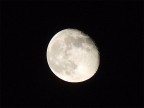 F 5
sec 1/100
ISO 200