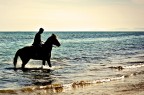 Horse Ride