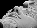 Particolare del colosso di Ramses a Menfi