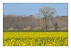 IMG_1602