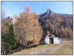 colori autunnali