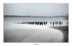 Zeeland
