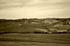 Colline Marchigiane_02