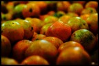 portocala, citrus sinesis