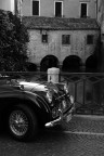 treviso