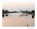 Fishermen's.. nest