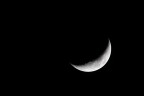 Falce di luna