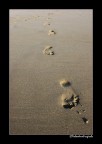 Steps 2 Steps 2