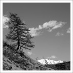 Montagna - BN