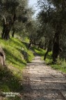 Ben accetti commenti, critiche e apprezzamenti.. =)