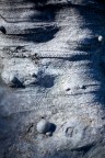 Fuori concorso... fatta la foto per il contest ma causa malattia in ritardo per postarla :(