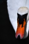 Nikon D3000
1/50 e f / 5,6 
ISO 200
focale 55 mm