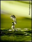L'acqua nelle sue forme!
