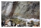 Acqua