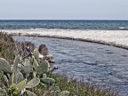 ...mare....