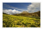 Sicily Landscape