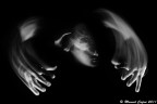 BiPoLaR DiSoRdEr