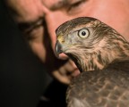 Sguardo d'intesa