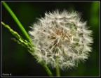 1/500 sec, f/6.3, ISO 200

Commenti sempre ben accetti