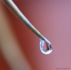 Riflessi