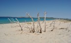 il mare visto da  le dune