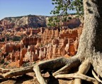 Scattata al Bryce Canyon,Usa