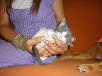 new entry