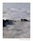 Isole