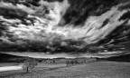 Un cielo carico di pioggia, maestoso ed imponente, fa da contrasto ad una piccola e dimenticata strada di campagna, che si perde nellorizzonte.