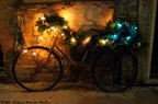 Volterra Bicycle