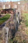 Stockade on the way