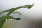 Riflessi 2