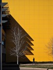 In questo scatto ho cercato di giocare con i colori e le ombre su questo bel muro giallo, ovviamente IKEA...

Dati scatto: Olympus E-PL2+Panasonic 20mm f/1.7 (@f/7.1, 1/1250, ISO200). 

Suggerimenti e critiche sempre ben accetti!