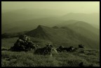 white mountains