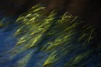 Acqua e luce