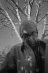 L'uomo albero
