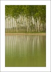 Verde speculare