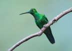 Ecuador, Mindo