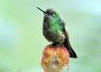Ecuador, Papallacta