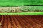 In campagna