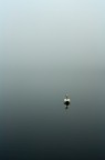 Nella nebbia