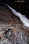 quite water