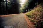 the road