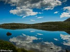 Riflessi