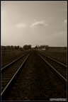 Questa immagine, scattata senza pensarci troppo, e' stata fatta perche' i binari del treno, visti in questo modo, mi davano un senso di infinito.

Consigli e commenti sempre ben accetti! :)