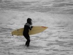 Surfista