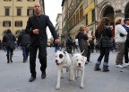 Firenze