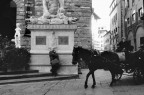 Firenze