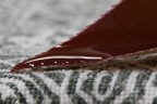 Primo scatto con un macro