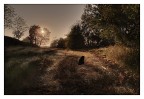 Scorcio con gatto